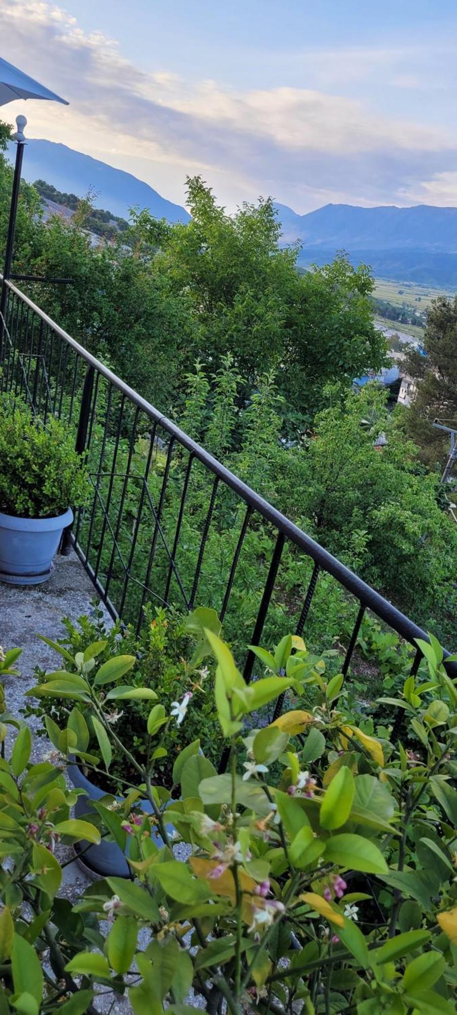 Apartament Recka