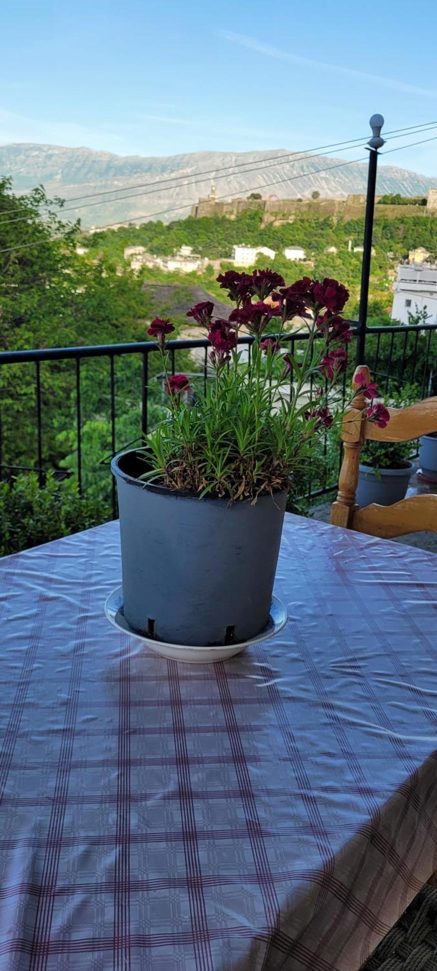 Apartament Recka Gjirokastra