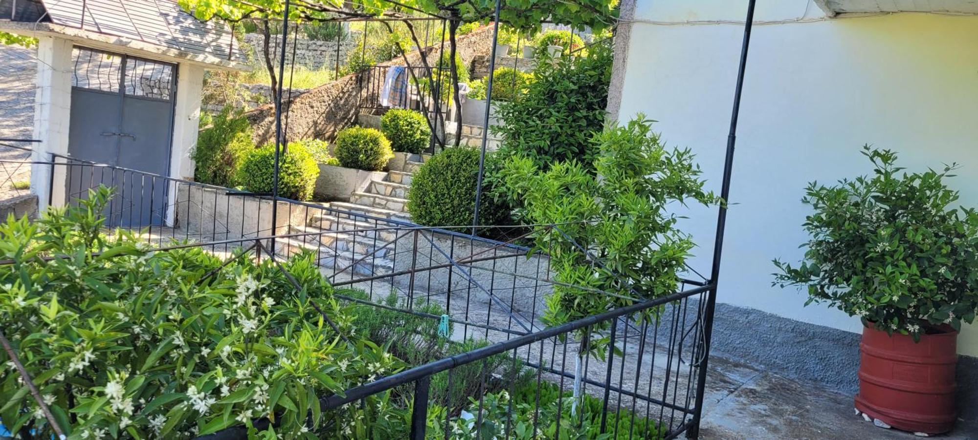 Recka Apartament